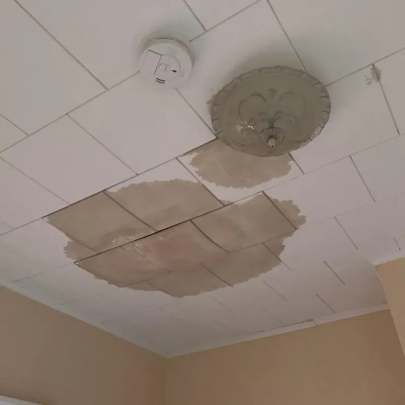 Ceiling Water Damage Repair in Dilkon, AZ