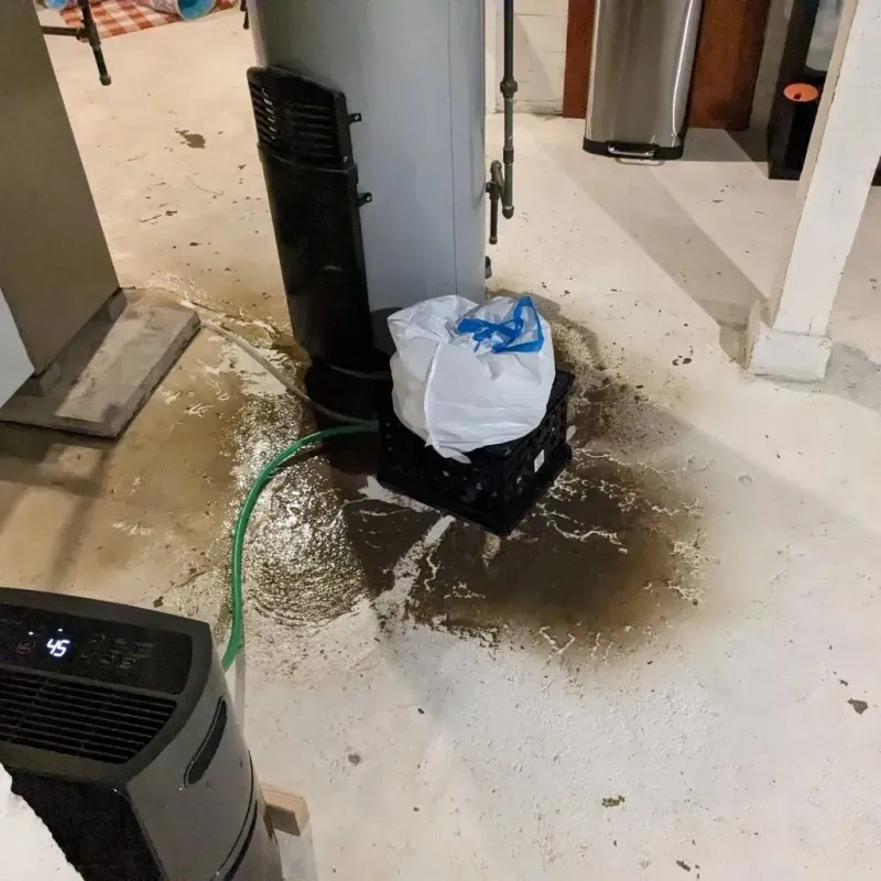 Sewage Backup Cleanup Service in Dilkon, AZ